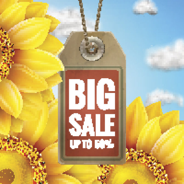 向日葵配蓝天——秋日大甩卖。每股收益10图片下载