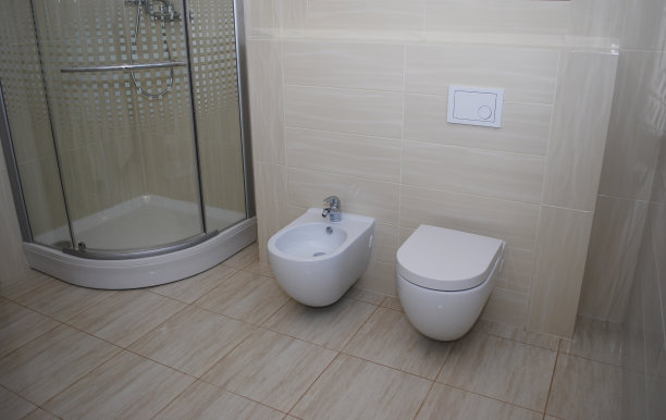 室内浴室(带一扇门的淋浴，内置马桶和坐浴盆)。图片下载