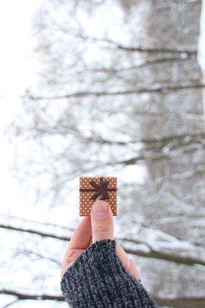 手捧礼物，模糊照片作背景图片下载