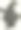 万圣节垃圾卡片，戴着帽子的女巫。图片下载