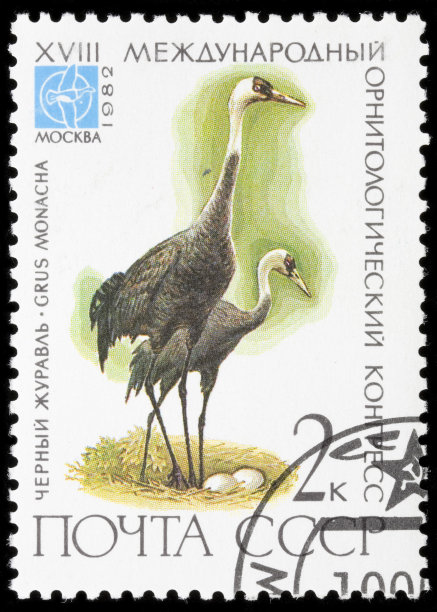 邮票上的鸟图片下载