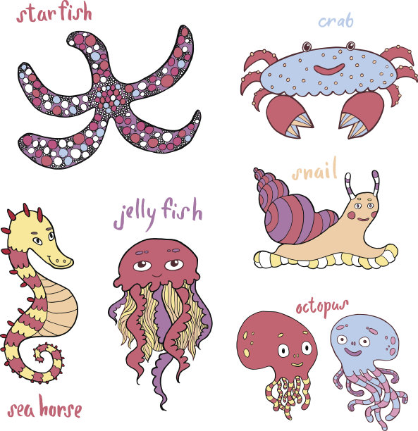 手绘有趣的海洋生物图片下载