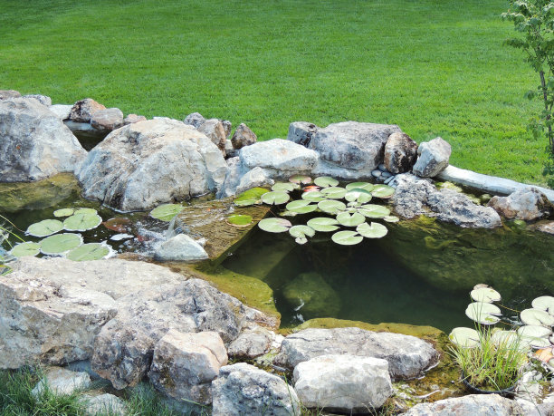 公园的设计。图片下载