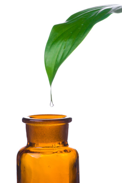 Spa草本概念系列图片下载