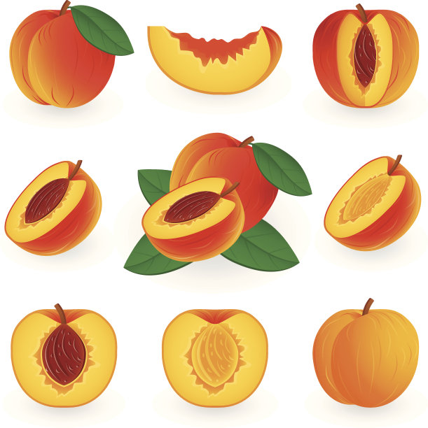 画的是桃子，有些是完整的，有些是切开的图片下载