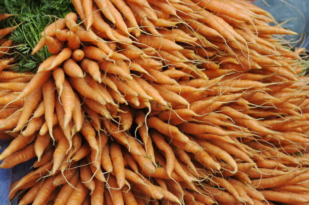 农贸市场上的一捆捆胡萝卜图片下载