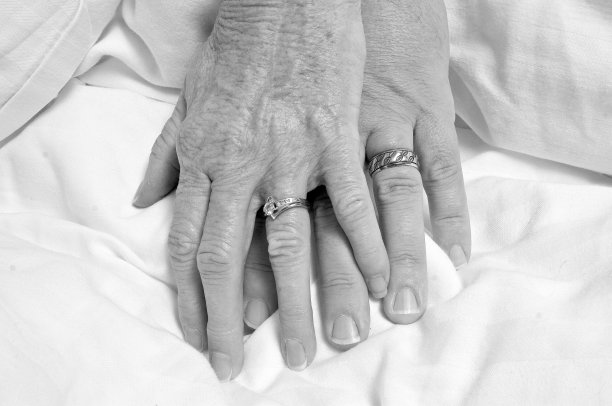 持久的爱图片下载