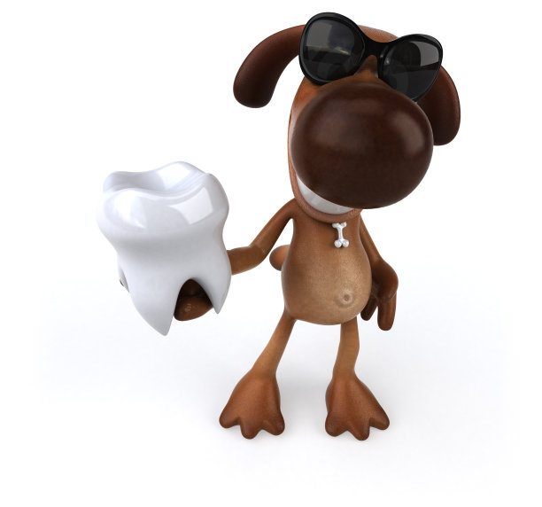 有趣的狗图片下载