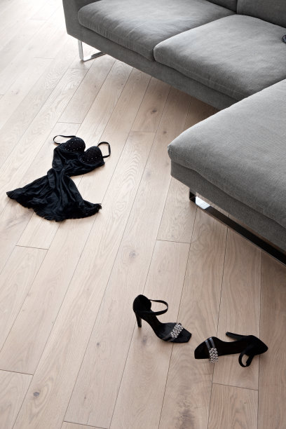 女人的鞋子和衣服躺在沙发前图片下载