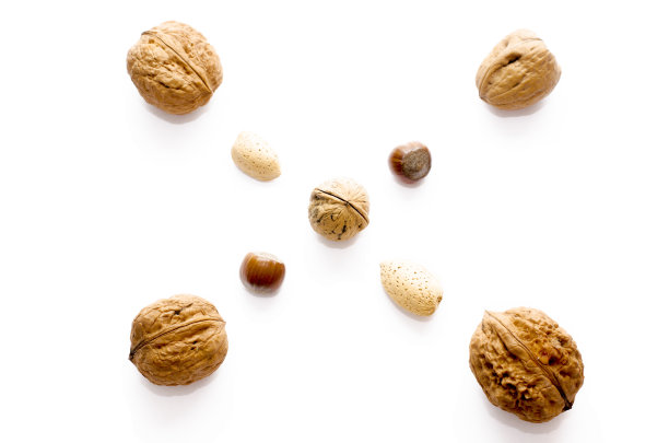 坚果就像白色背景上的十字架图片下载