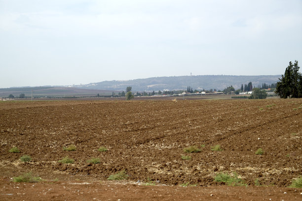 耶斯列山谷的农业图片下载