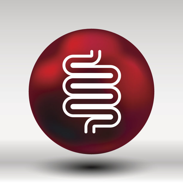 扁平的现代设计与阴影图标大肠图片下载