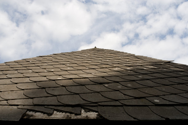 斯皮茨·达赫图片下载