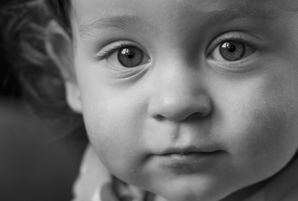 Anabella图片下载