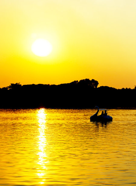 天鹅游艇上一对夫妇的剪影图片下载