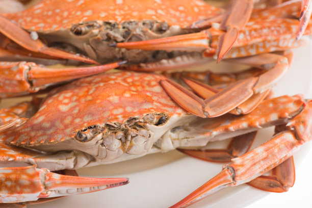 海鲜蒸蟹图片下载