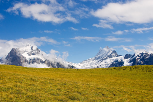 瑞士山地草甸图片下载