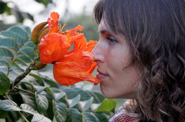 女人摸红花图片下载