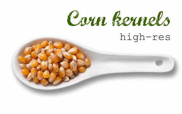 白色瓷勺里的黄色玉米粒图片下载