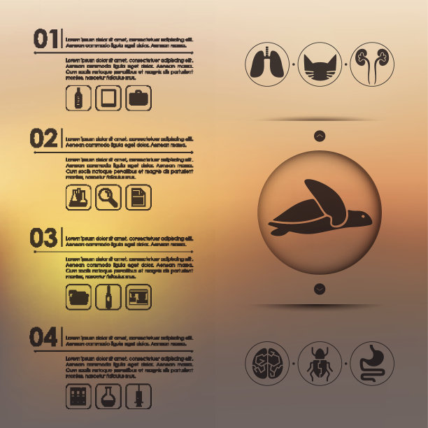 没有重点背景的兽医信息图表图片下载