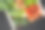 什锦新鲜蔬菜在一个木盒子图片下载