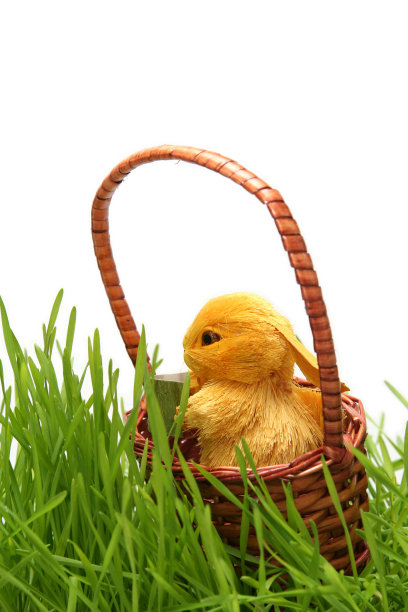 草地上的复活节兔子图片下载