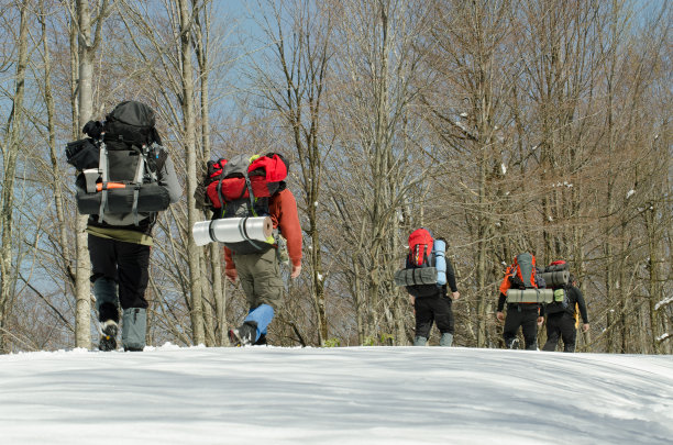 冬季森林里的一队徒步旅行者图片下载