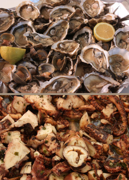牡蛎、蛤蜊、章鱼图片下载