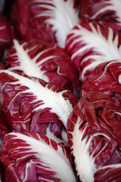 菊苣，新鲜沙拉在市场上出售图片下载