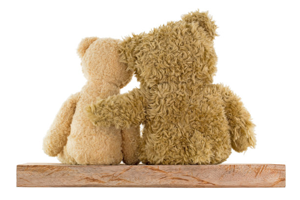 一对棕熊坐在木头上互相拥抱图片下载