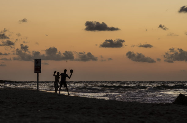 海滩的生活图片下载