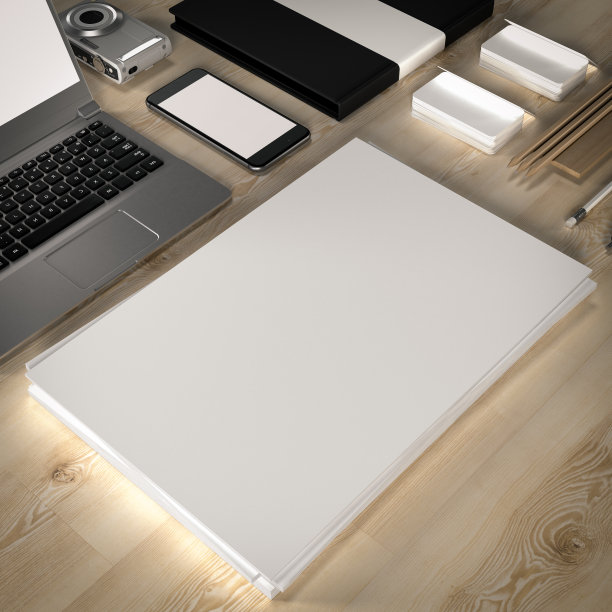 业务模板模型。高分辨率。图片下载