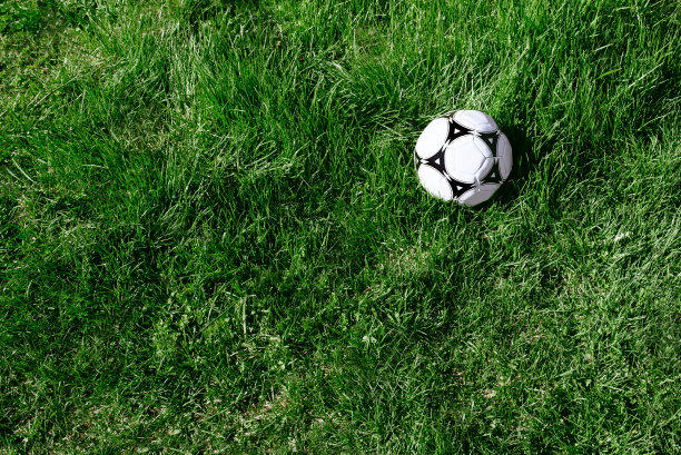 足球躺在草地上图片下载