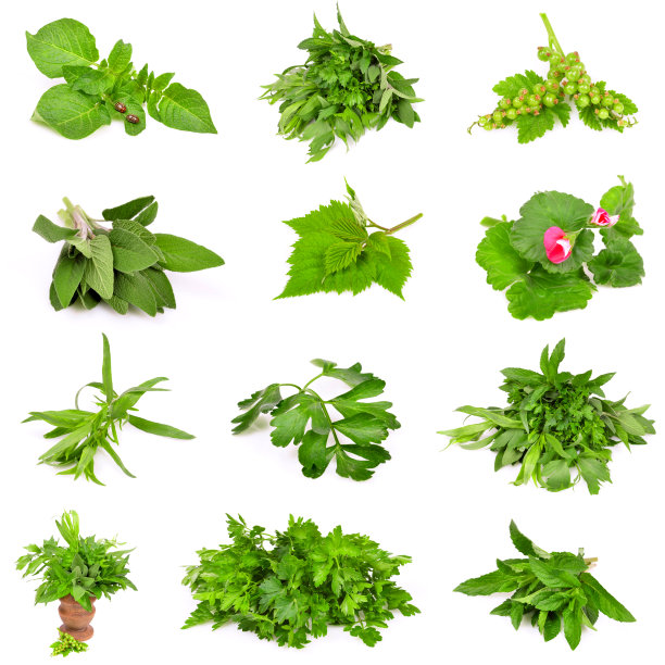 新鲜蔬菜图片下载