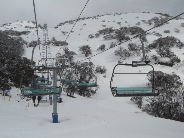 阴天里的死亡图片下载