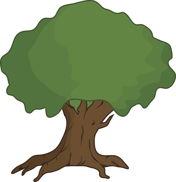 孤立的树图图片下载