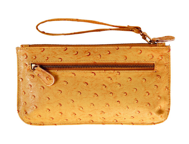 女人的钱包孤立在白色的背景上图片下载