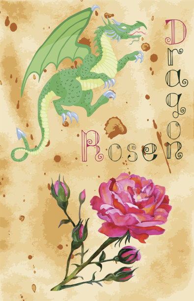 设计集龙和玫瑰图片下载