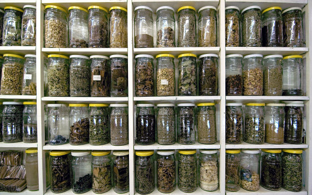 香料和香草图片下载