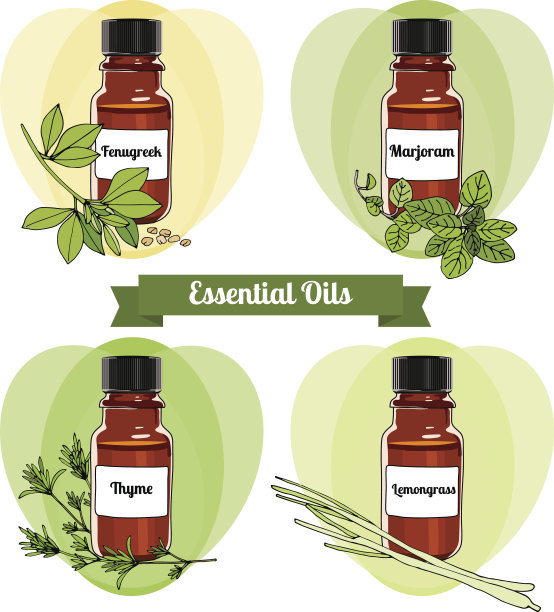 向量精油集3图片下载