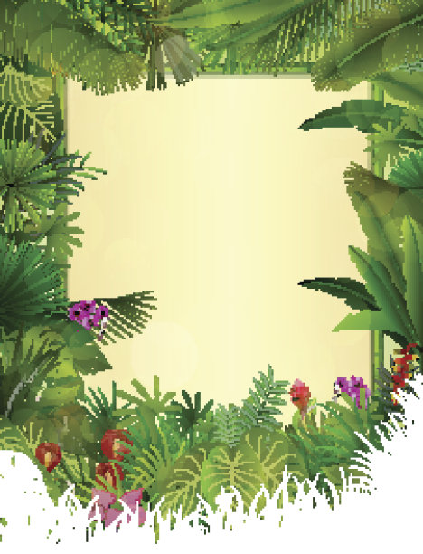 热带背景与矩形花卉框架在概念竹子图片下载
