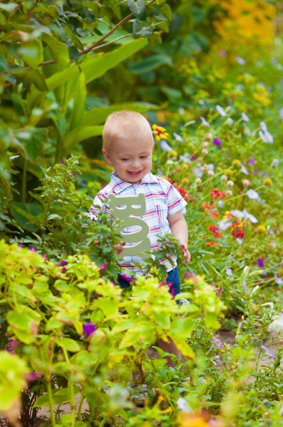 小男孩在郁郁葱葱的花园里图片下载