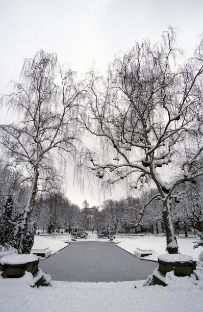 结冰的桥上的雪树图片下载