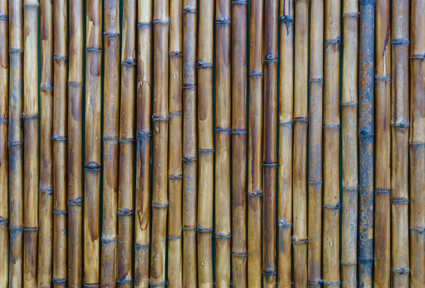 竹纹理自然图案图片下载