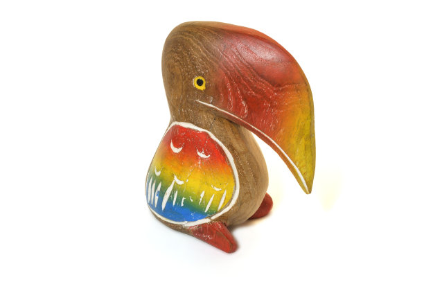 纪念品巨嘴鸟图片下载