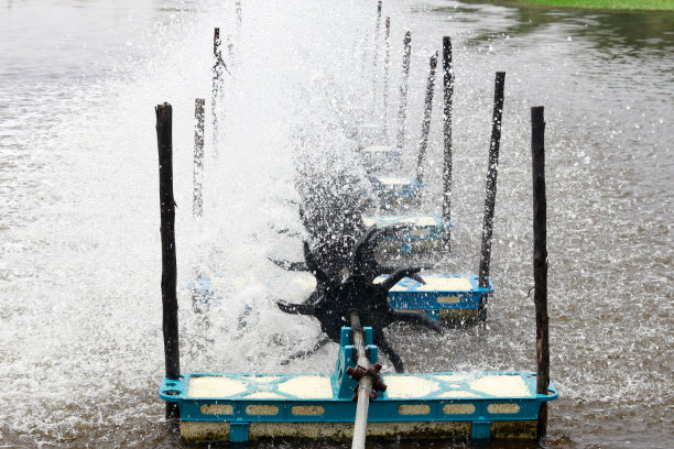 占领淡水鱼图片下载