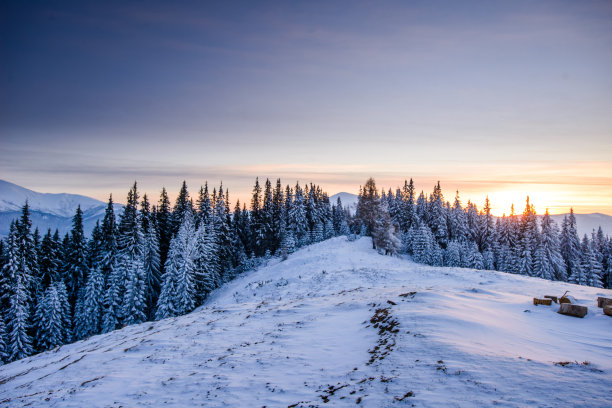 美丽的冬天的风景图片下载