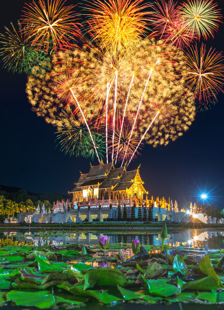 2020年春节图片素材ID：122450788