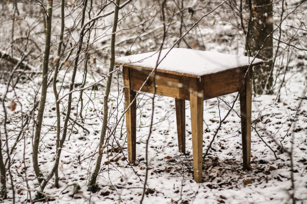 冬天的餐桌图片下载