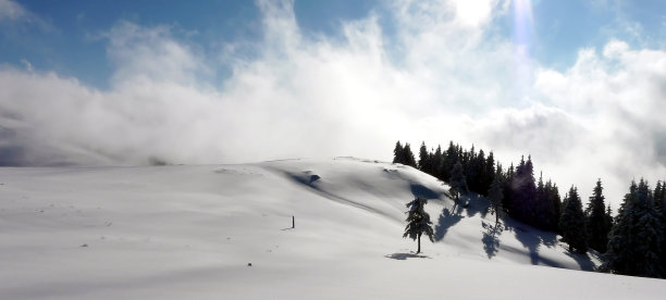 完美的冬景图片下载